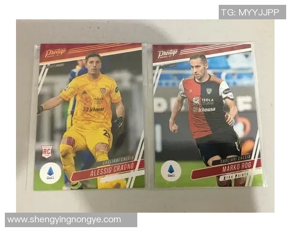 卡帕尼尼足球C罗单张球星卡珍藏版价值分析与市场趋势解析