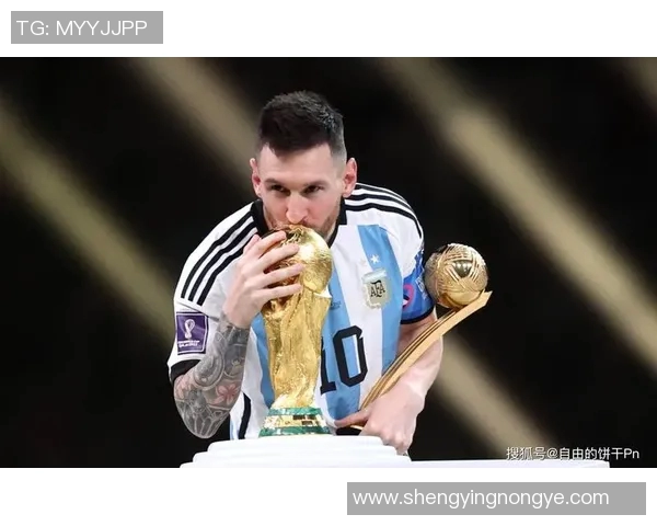 足球场传奇瞬间全景挂板展现球星风采与辉煌时刻